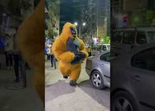 المشاغبين  ابلور فولو  مهرجان   