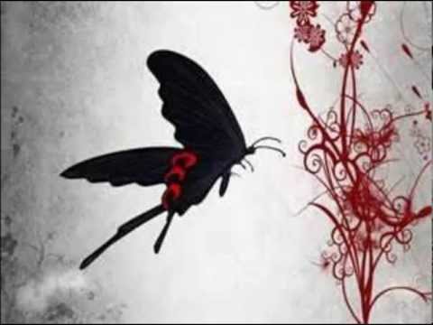 ROOKiEZ Is PUNK D Song For Overcome Version