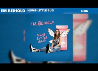 Em Beihold Numb Little Bug 432Hz