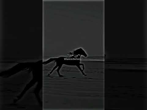 وين الخيل تشد الحيل Remix Music