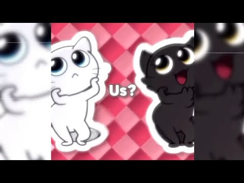 CONFESS YOUR LOVE FUNK PREY Slowed Reverb Tiktok Version