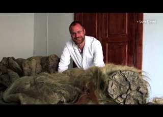  Woolly Mammoths Had No Body Odor DNA Study