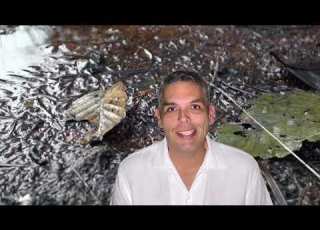  The Legend Of Kilaga Springs