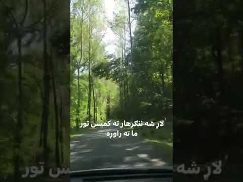 لاړ شه ننګرهار ته کميس تور ما ته راوړه لاړ شه ننګرهار ته کميس تور ما ته راوړه