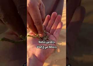 كيف تعمل صابون بقلب الصحراء الاردن Amman Jordan Lebanon عمان صحراء صابون Petra