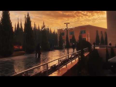 شرين عبد الوهاب لو عامل ناسيني حط عينك بعيني ترند تيك توك ستوريات انستا حزينه بدون حقوق