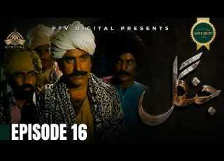 Jungle Episode 16 Urdu Drama PTV Digital