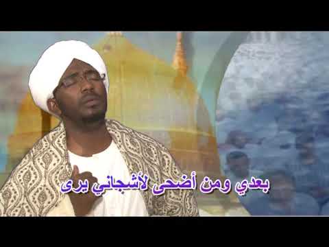 زدني محمد البشير هاشم