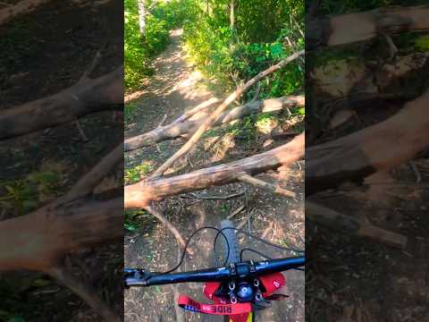 как всегда Mtb Urbandownhill Downhill 4564 Moldova