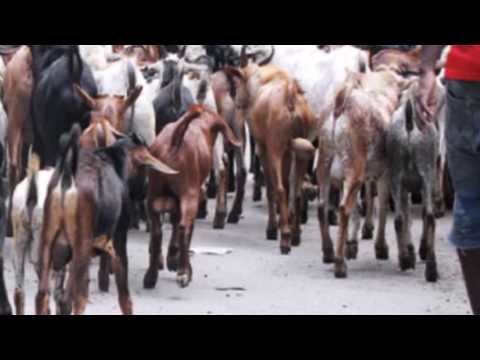 Machakos Town Choir Yakubu Kampenda Raeli
