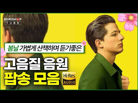 팝송 음악 모음 봄날 가볍게 산책하며 듣기좋은 팝송 음악 청음샵에서는 어떤 음악을 틀어줄까 Playlist 고음질음원 오디오 HiFi