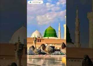  New Naat 2023 Shortsfeed Ramadanspecial Youtubeshorts Newnaat2023 Newnaat Newnaat2024 Naat
