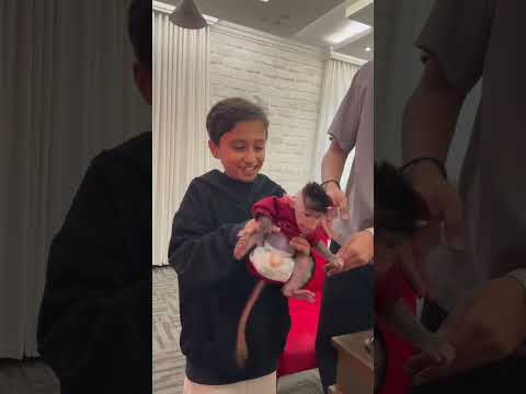 التوأم فيصل مع روب باور