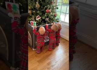  How To Protect Christmas Tree From Triplets Lifehack Christmas Triplets Mom Cute Twins