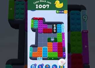  Color Block Jam 1007