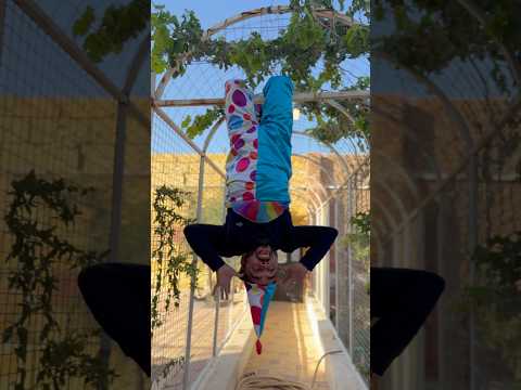 مجنون هرب من مشفى المجانين