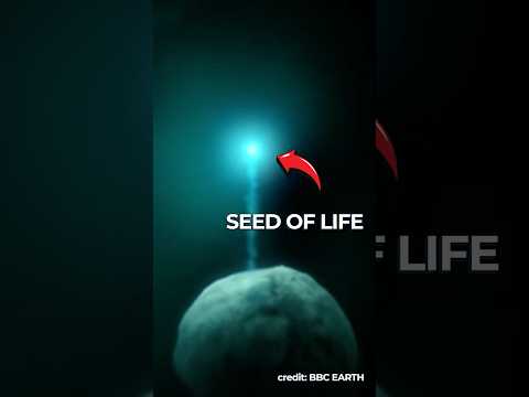 Scientists Warn Against Creating Mirror Life