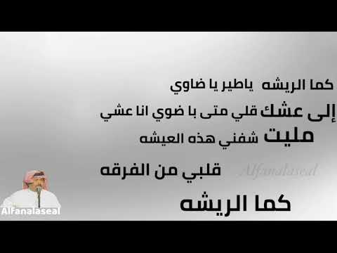 ابوبكرسالم كما الريشه ياطير ياضاوي إلى عشك الطرب الأصيل والذوق الرفيع