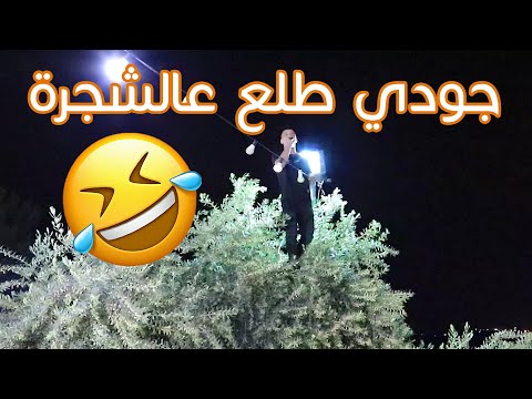 جودي ابوعيشة ولعت معاه وطلع على الشجرة شوف الترند الجديد على طريقة جودي نعلين جودي ابوعيشة ولعت معاه وطلع على الشجرة شوف الترند الجديد على طريقة جودي نعلين