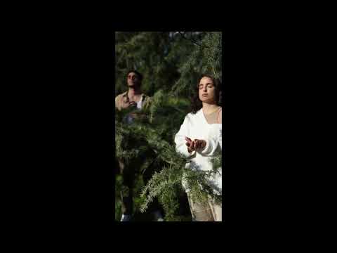 موسيقي كلاسيك هادية تنفع خلفية مونتاج للفيديوهات القصص او المعلومات