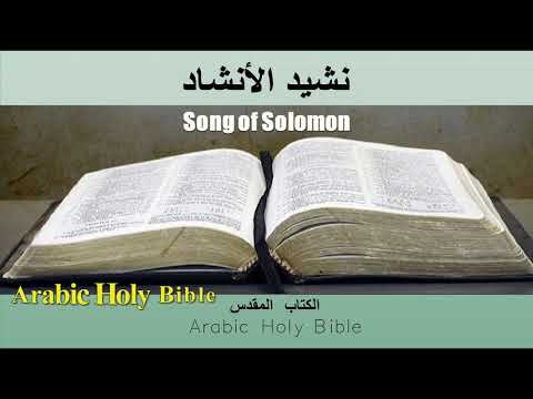 22 Song Of Solomon نشيد الأنشاد الفصل1 8 العهد القديم الكتاب المقدس Arabic Holy Bible