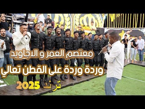 مجوز وردة وردة على القطن تعالي احدث ترند 2025 معتصم العمر و فرقة الاجاويد
