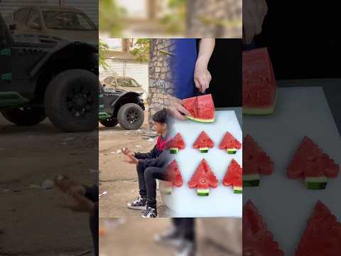 الحلقه الخامسه الثبات علي المبدا مفيش راجل علي بلد ومفيش بلد علي راجل Losha