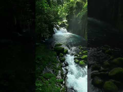 Song 2025shorts Trending