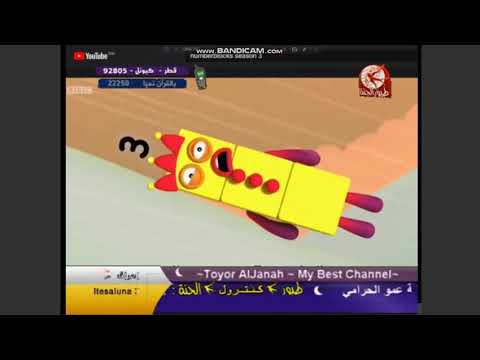 طيور الجنة 11 مباشر