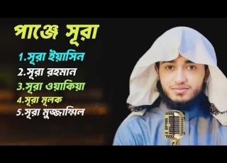  প ঞ জ স র ক ব র আব র য হ ন র কন ঠ প রত দ ন শ ন ন Beautiful Quran Tilawat