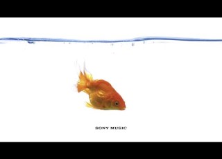  Vampire Weekend Big Blue Official Audio