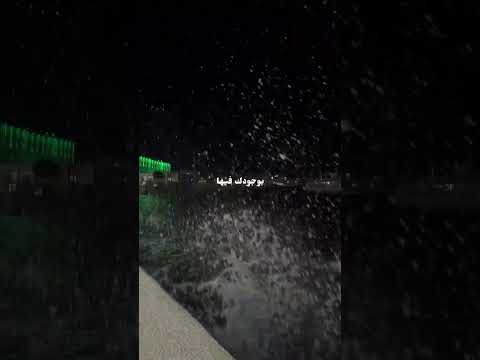 Bahaa Sultan Ana Mn Gherak بهاء سلطان انا من غيرك حالات واتس