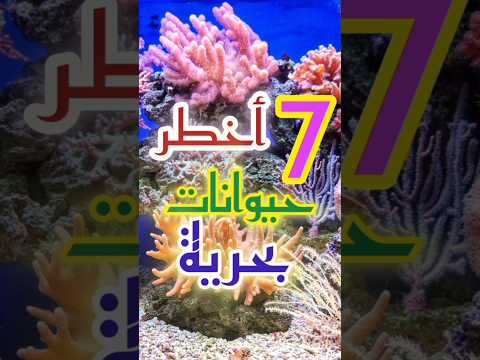 أخطر الحيوانات البحرية في العالم عالم الحيوان البحري