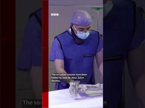 These Viral Alien Bodies Have Undergone Lab Tests In Mexico BBCNews