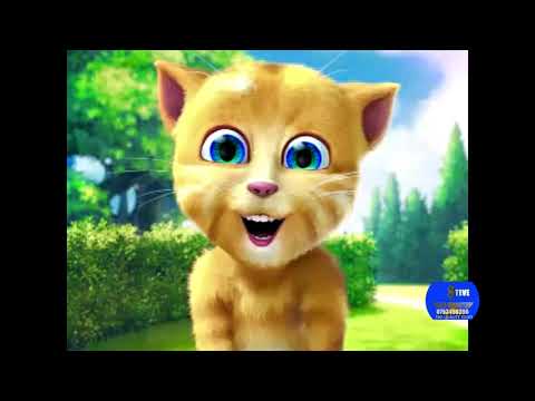 Nduta The Don Makoloboi