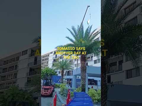 TOMASSO SAYS ANOTHER DAY AT THE ZOO Tomassotosoontobefamous