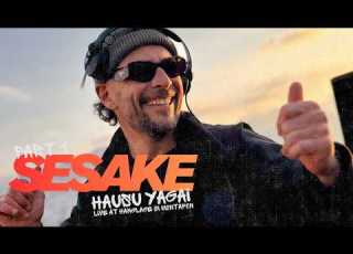  SESAKE HAUSU YAGAI 014