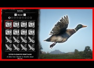 How To Farm Animal Fat And Flight Feathers In Red Dead Redemption 2