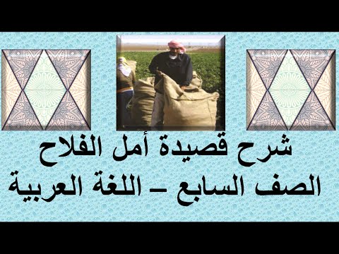 شرح قصيدة أمل الفلاح الصف السابع الشاعرة ماري عجمي اللغة العربية قناة لقمان التعليمية