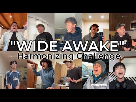TOP 10 BEST WIDE AWAKE BY KATY PERRY HARMONIZING CHALLENGE
