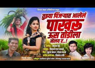त झ य प जऱ य त आल ल प खर म ऊस त ड ल न लय र Tuzya Pinjaryat Aalel Pakharu Mi Ustodila Nelay R
