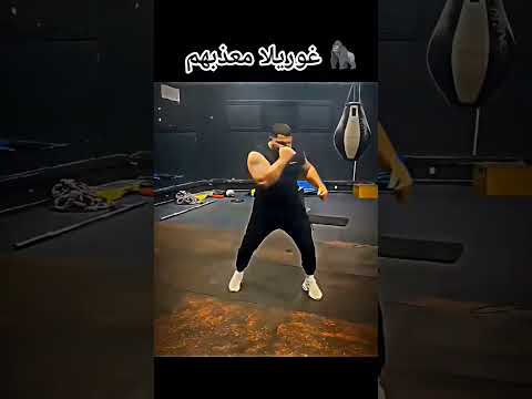 غوريلا معذبهم طراب كينغ Trapking Rapdz TrapkingTVofficiel