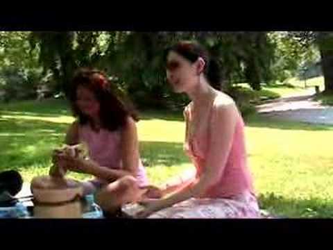 THE MUSLIMS ARE COMING THE MUSLIMS ARE COMING