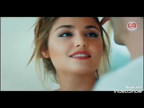 قولوا لعين الشمس ماتحماشي