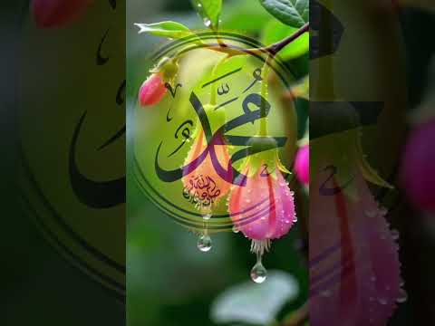 Alaahu Akabar Ale Baawana Oowaxida Aha Caylahi Salaatu Wasalaam CapCut Wcs