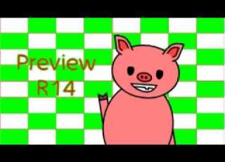  Preview R14