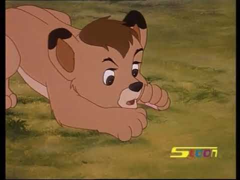 كرتون سيمبا الحلقة 1 مدبلج عربي سبيستون