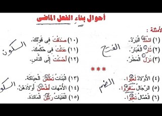  النحو الواضح 20 أحوال بناء الفعل الماضي