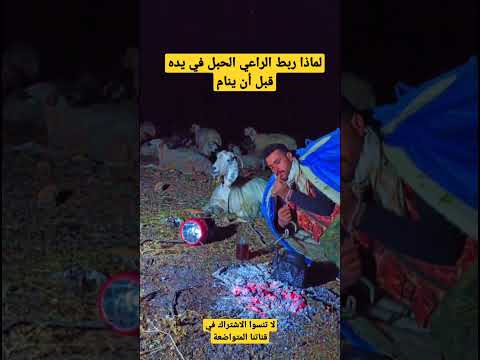 راعي غنم ينام بين أغنامه في البادية ليحرسها من الذئاب والسرقة فهمنة تربية الغنم تحتاج إلى صبر ومعرفة