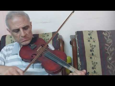 ابيض شبه الحمام على الكمانجة الشرقي